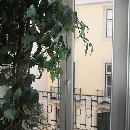 호스텔 로스트 인 리스본