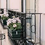 旅馆 里斯本落英旅舍